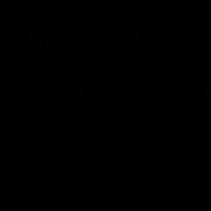 Meet your Posher, Flory